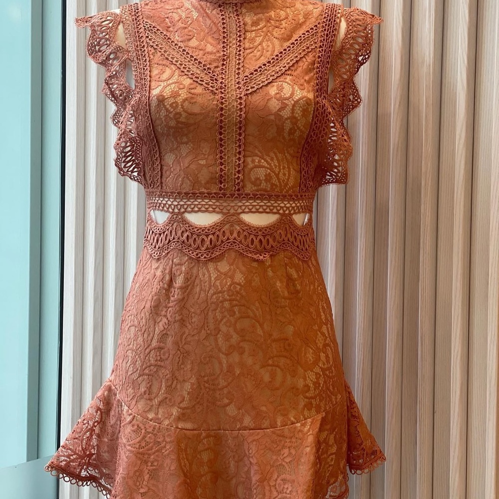 Sage and Paige - Worth the Chase minidress- Rose- Medium
